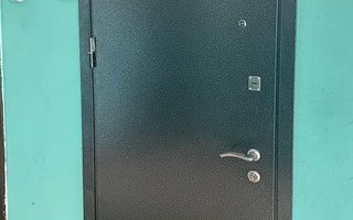 стальная дверь в квартиру ДКВ-79 с зеркалом внутри, общий вид